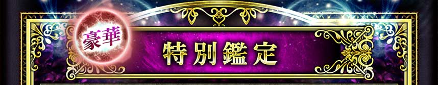 豪華 特別鑑定